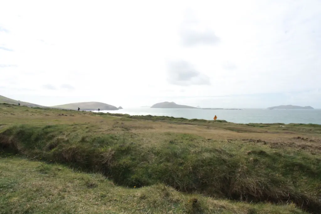 3983db6d 9eca 4d00 9f00 627c0cc8da47.jpg