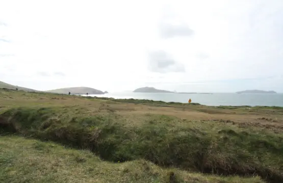 3983db6d 9eca 4d00 9f00 627c0cc8da47.jpg