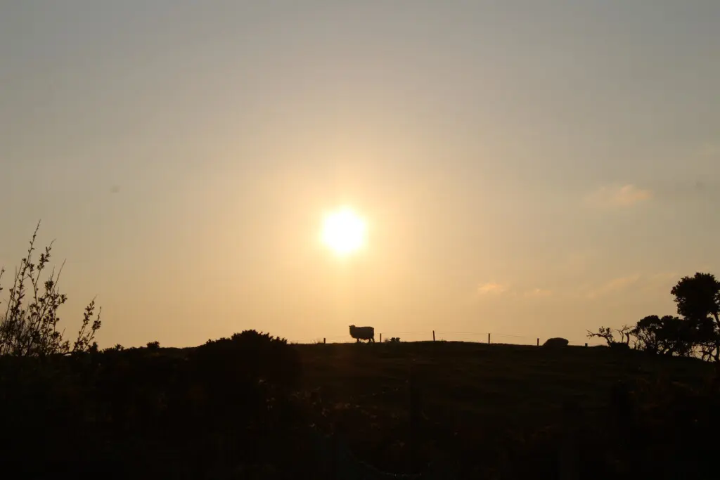 9e782fad 72bc 4f47 9747 5f4db2b5d0ad.jpg