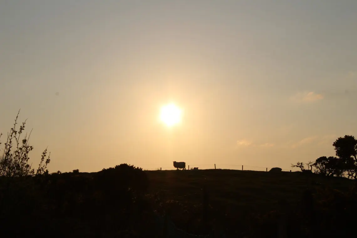 9e782fad 72bc 4f47 9747 5f4db2b5d0ad.jpg