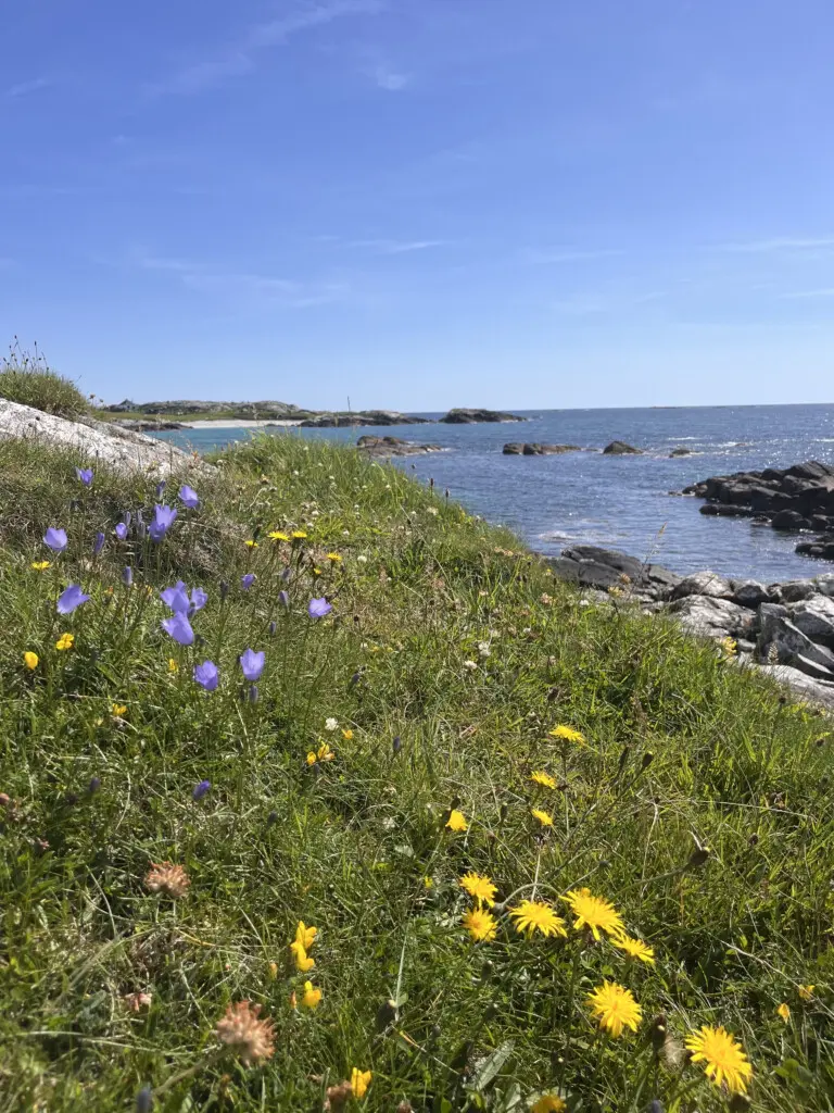 a9daeee2 3211 4533 bc57 46b5ccdb04c4.png