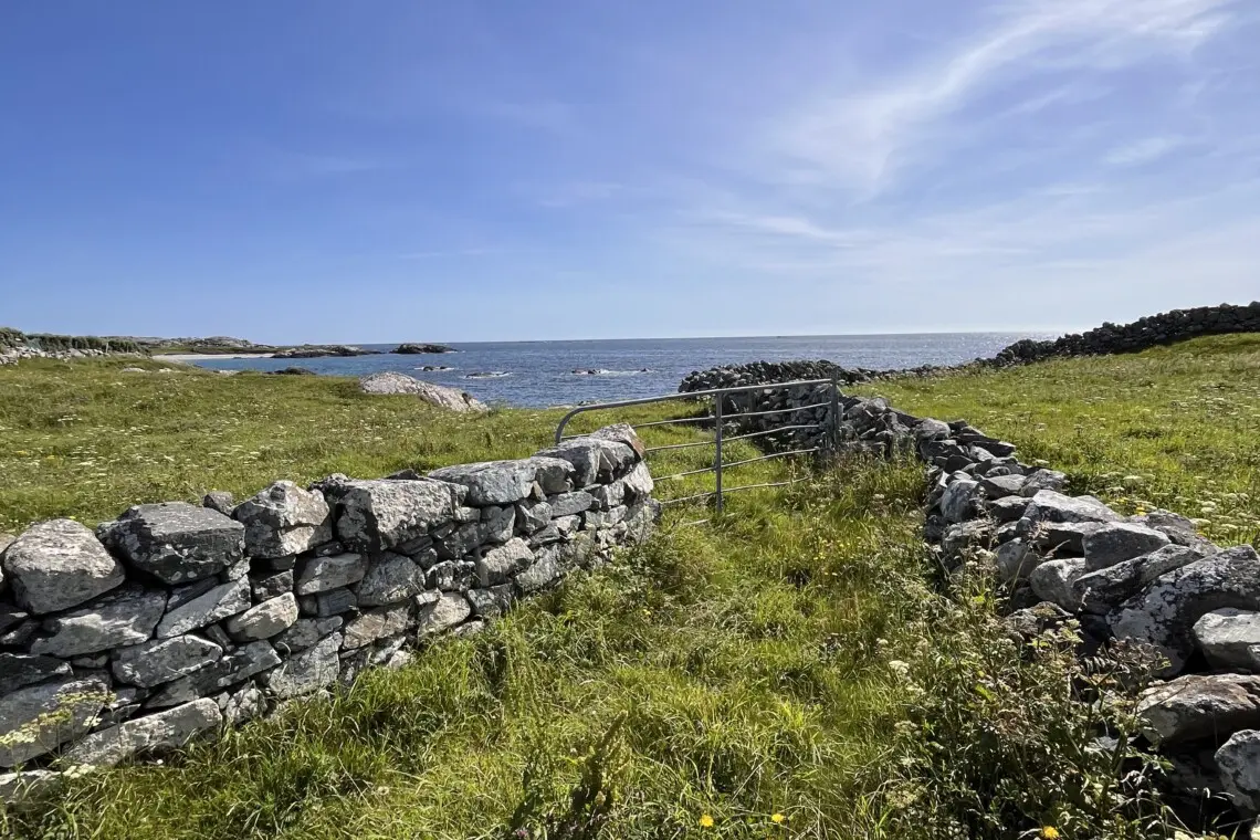 746a41ce fea6 428d 82c2 d21799a4200c.png.jpg