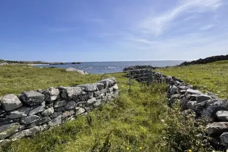 746a41ce fea6 428d 82c2 d21799a4200c.png.jpg