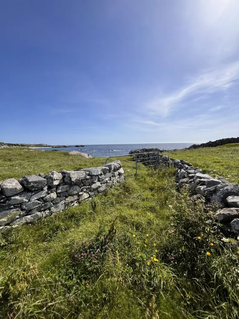 746a41ce fea6 428d 82c2 d21799a4200c.png.jpg