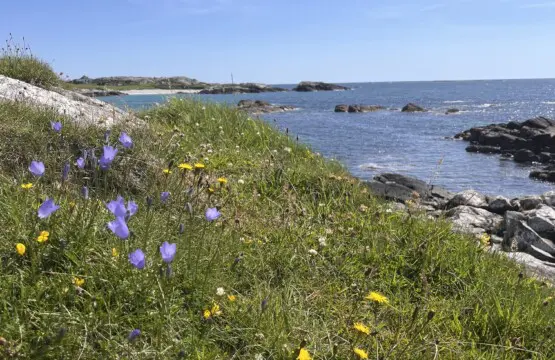 a9daeee2 3211 4533 bc57 46b5ccdb04c4.png.jpg