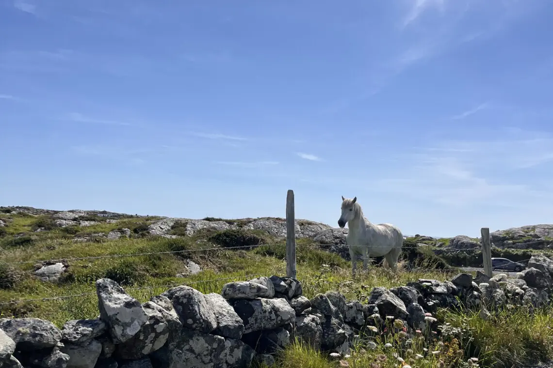 f47533df 970c 4030 92f5 4beda44bc658.png.jpg