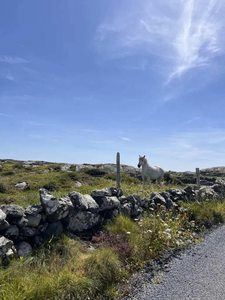 f47533df 970c 4030 92f5 4beda44bc658.png.jpg