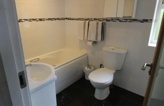 780ae460 b507 4ff7 b2f0 9ab666b2db19.jpg